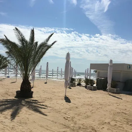 Seaside Holiday